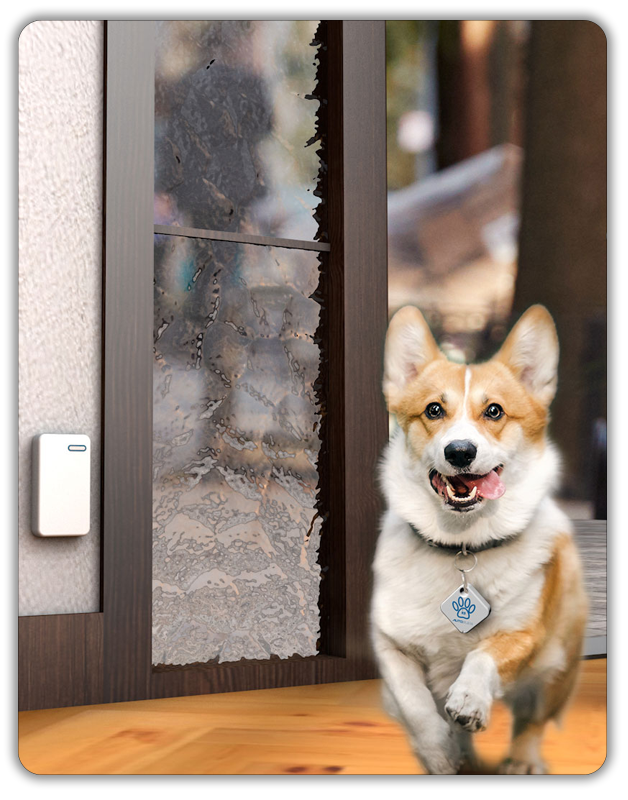 Motion sensor dog door best sale