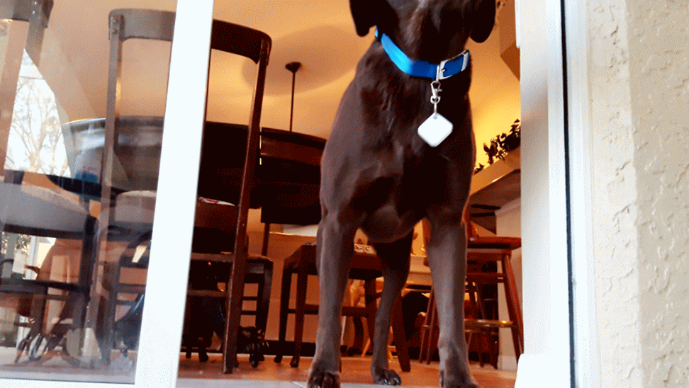 Autoslide Smart K9 Tag Set