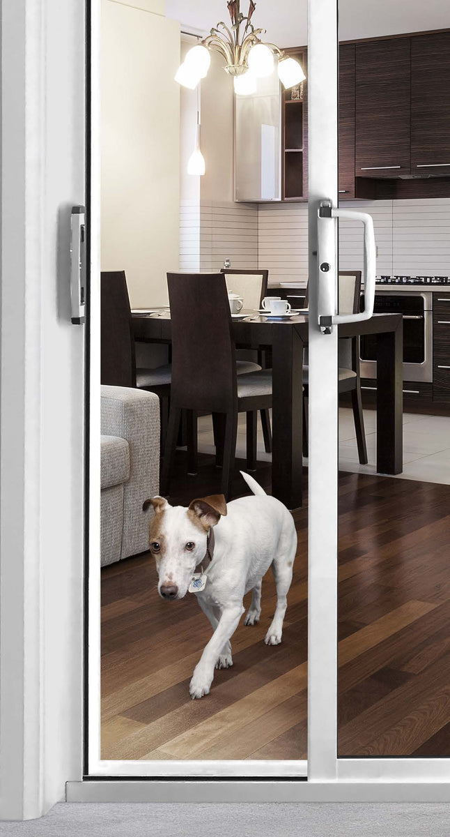 Auto pet shop door