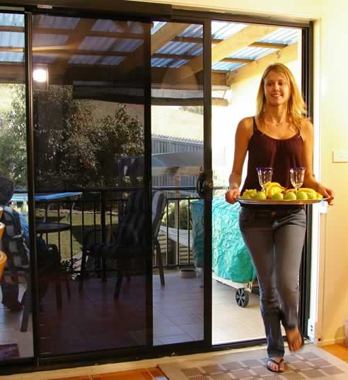 Automatic Door Systems: A Smart Home Transformation