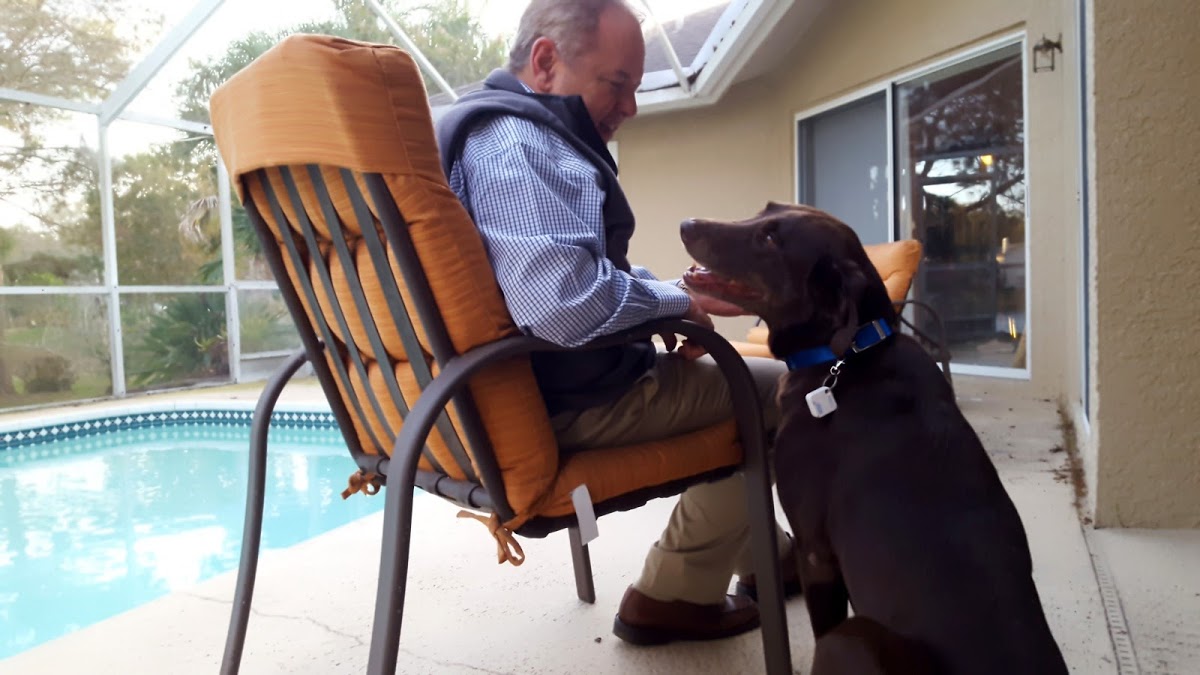 AutoSlide iLock Smart Tag Pet Door
